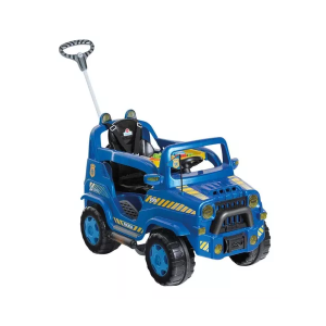 1019 DIIPI POLICIA CALESITA